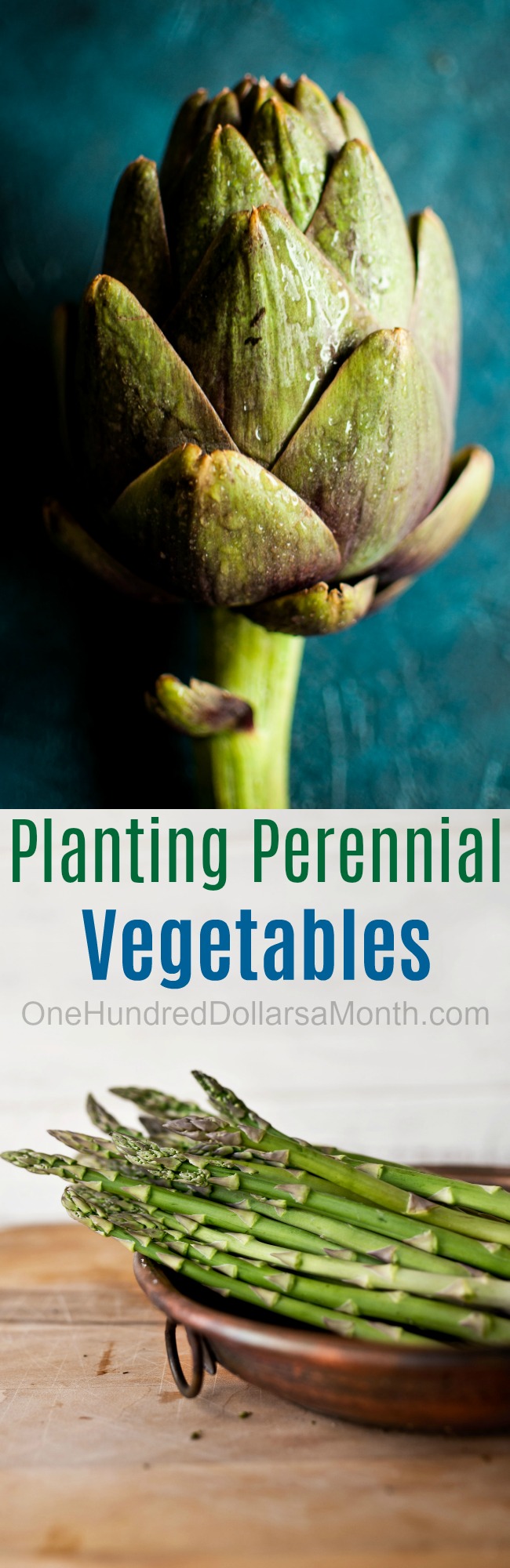 Planting Perennial Vegetables