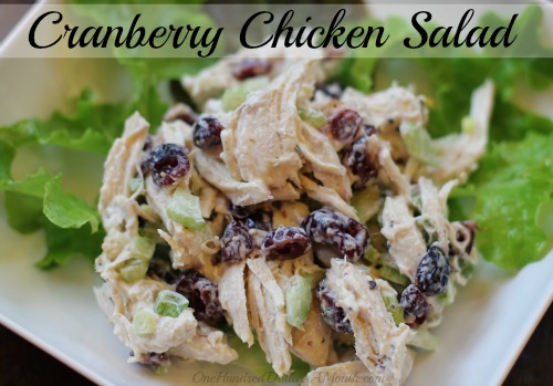 Easy Chicken Recipes – Cranberry Chicken Salad