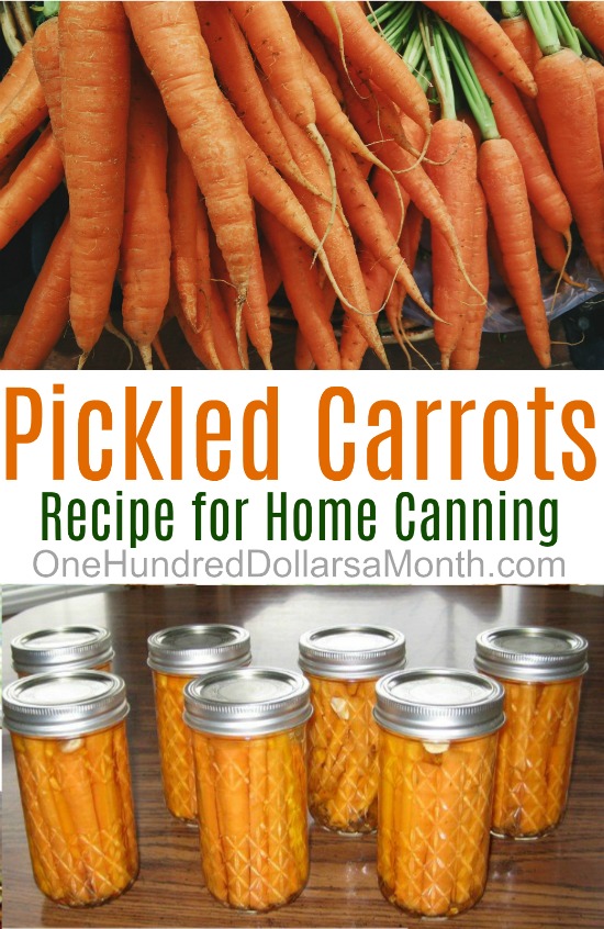 Canning 101 – Pickled Dill Carrots
