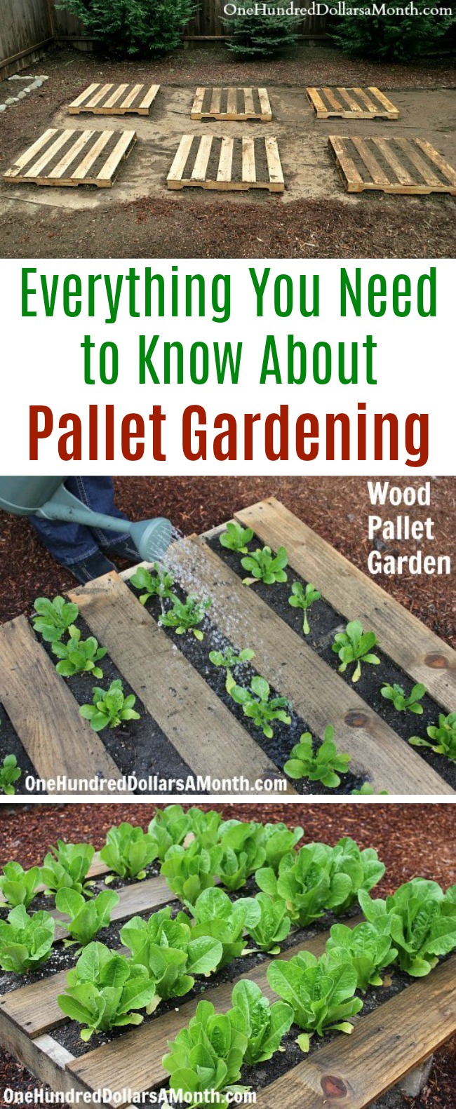 Pallet Gardening Archives One Hundred Dollars A Month