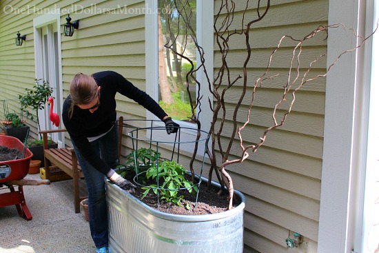 Fill Garden Containers with Buckets to Save Money on Potting Soil