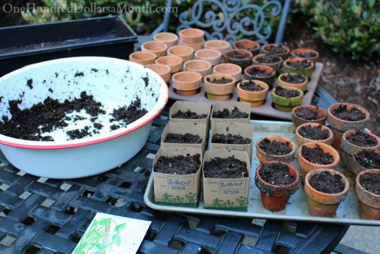 Hi. My Name is Mavis and I Can’t Stop Planting Seeds. The End.