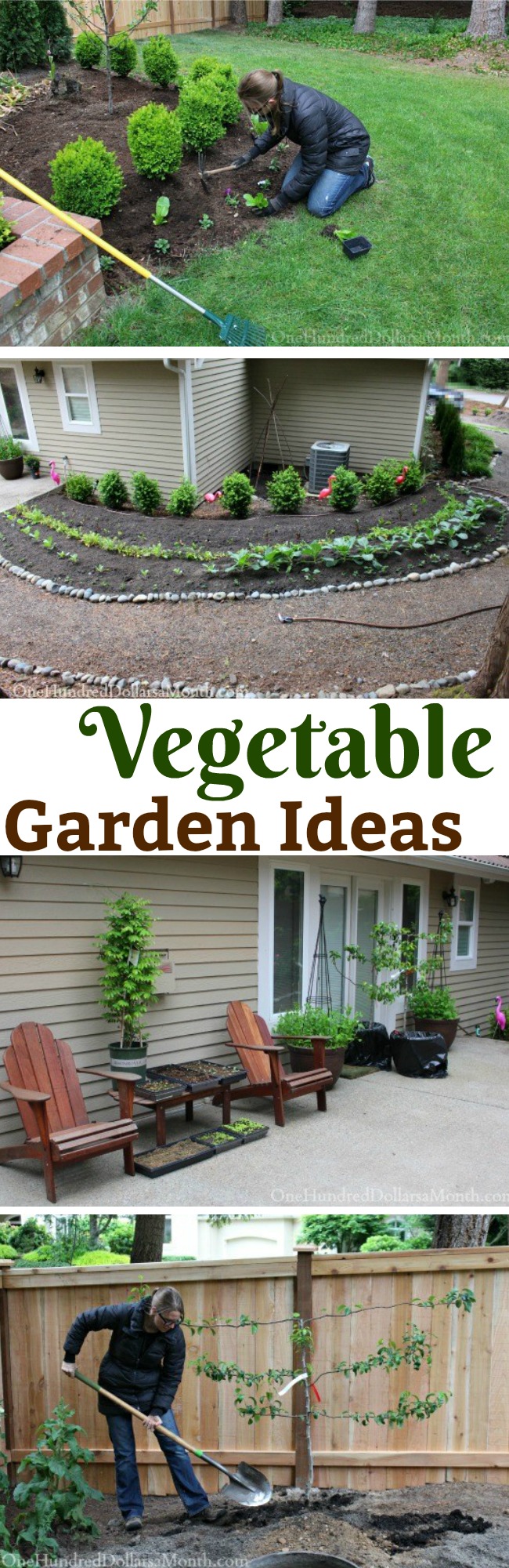 Mavis Butterfield | Backyard Garden Plot Pictures 5/17/15