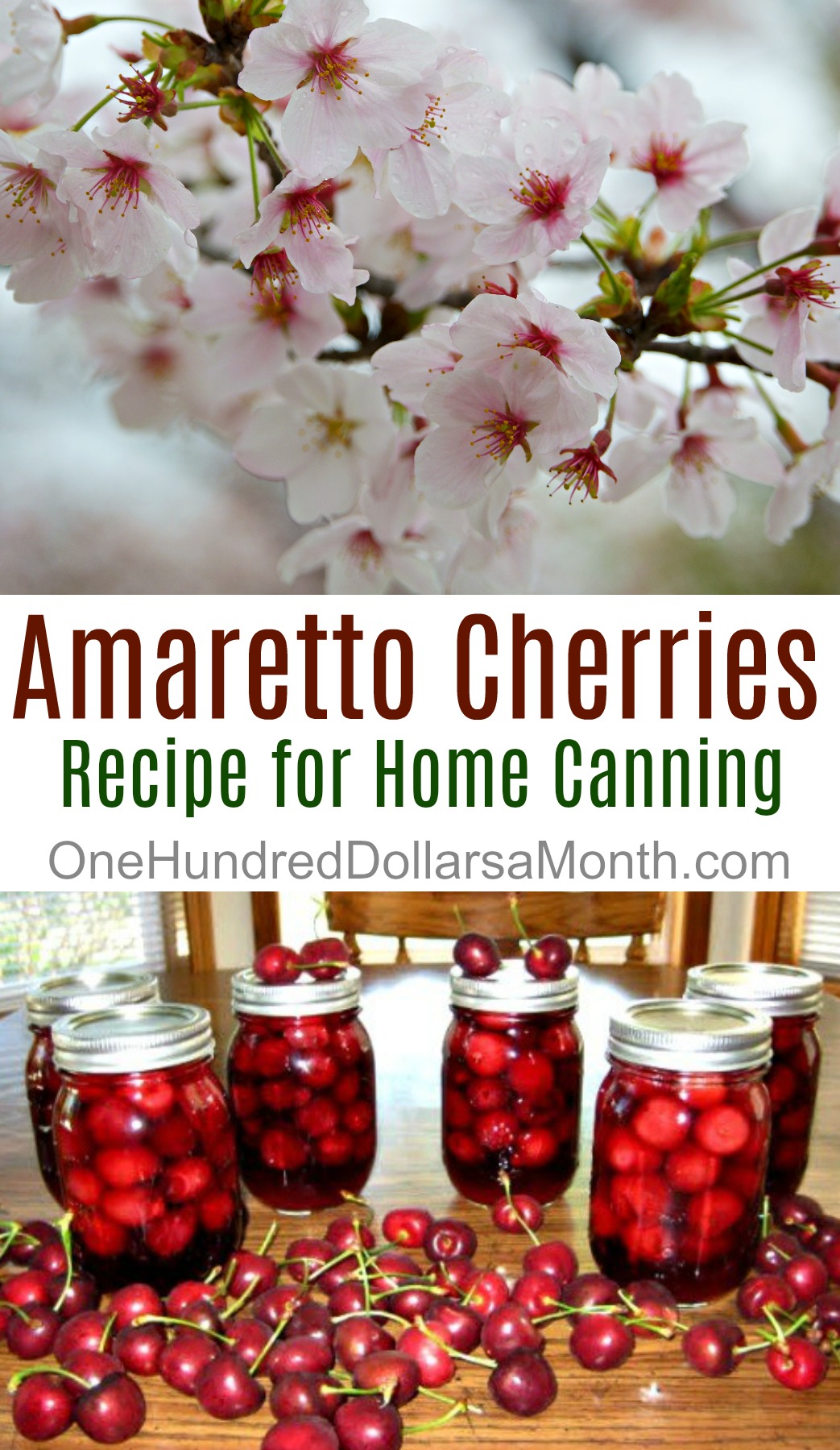 Canning 101 – Amaretto Cherries