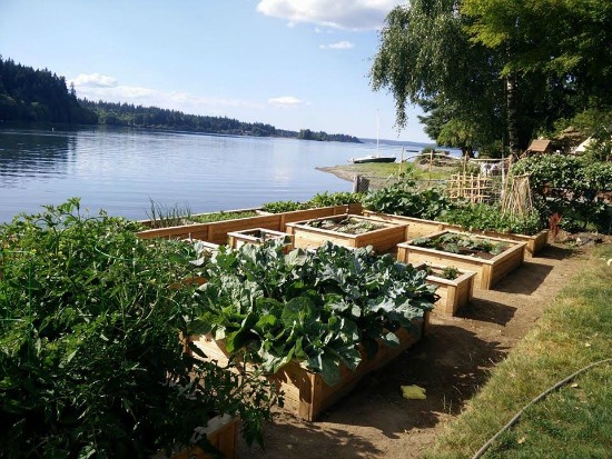 Henrietta From the Pacific Northwest Sends in Her Garden Pictures