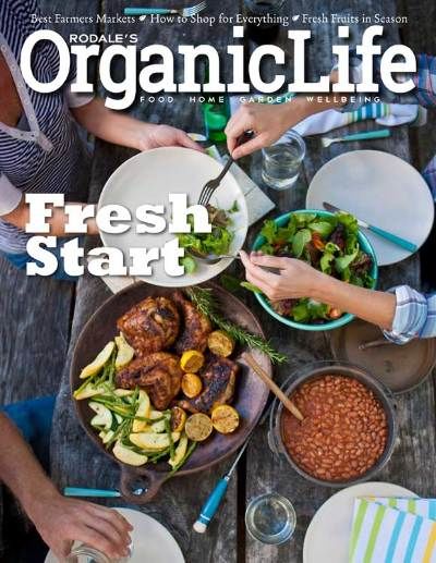 Free Kindle Books, Summer Workbooks for Kids, K-Cups, Game Cameras, Fresh Flowers and Organic Life Magazine