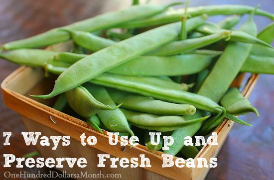 7 Ways to Use Up and Preserve Fresh Beans