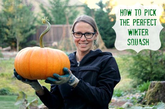 How to Pick the Perfect Winter Squash