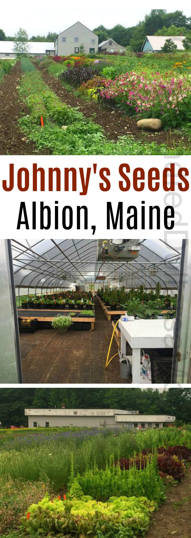 Tour Of Johnny’s Seeds in Albion, Maine