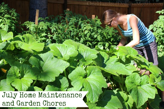 July Home Maintenance and Garden Chores