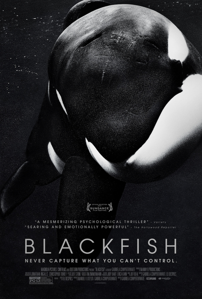 Friday Night at the Movies – Blackfish