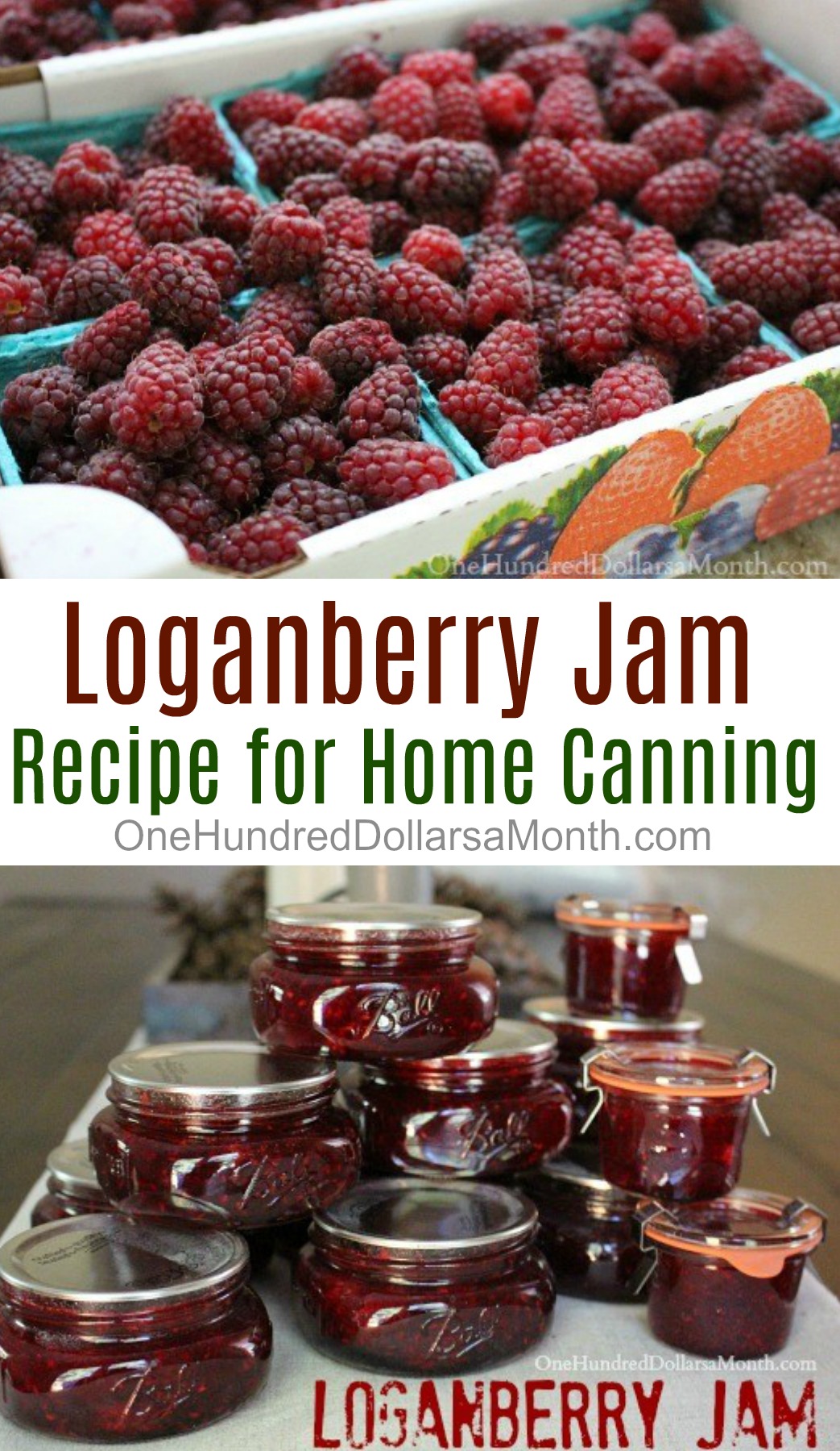 Canning 101 – How to Make Loganberry Jam