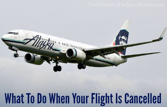 What To Do When Your Flight Is Cancelled