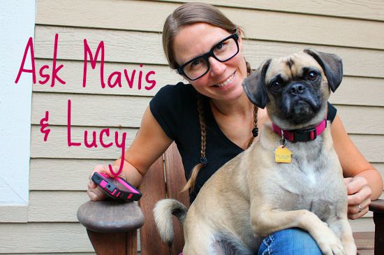 Ask Mavis: We’re Talking Zucchini Relish, Squash Bugs, Party Games and MORE!