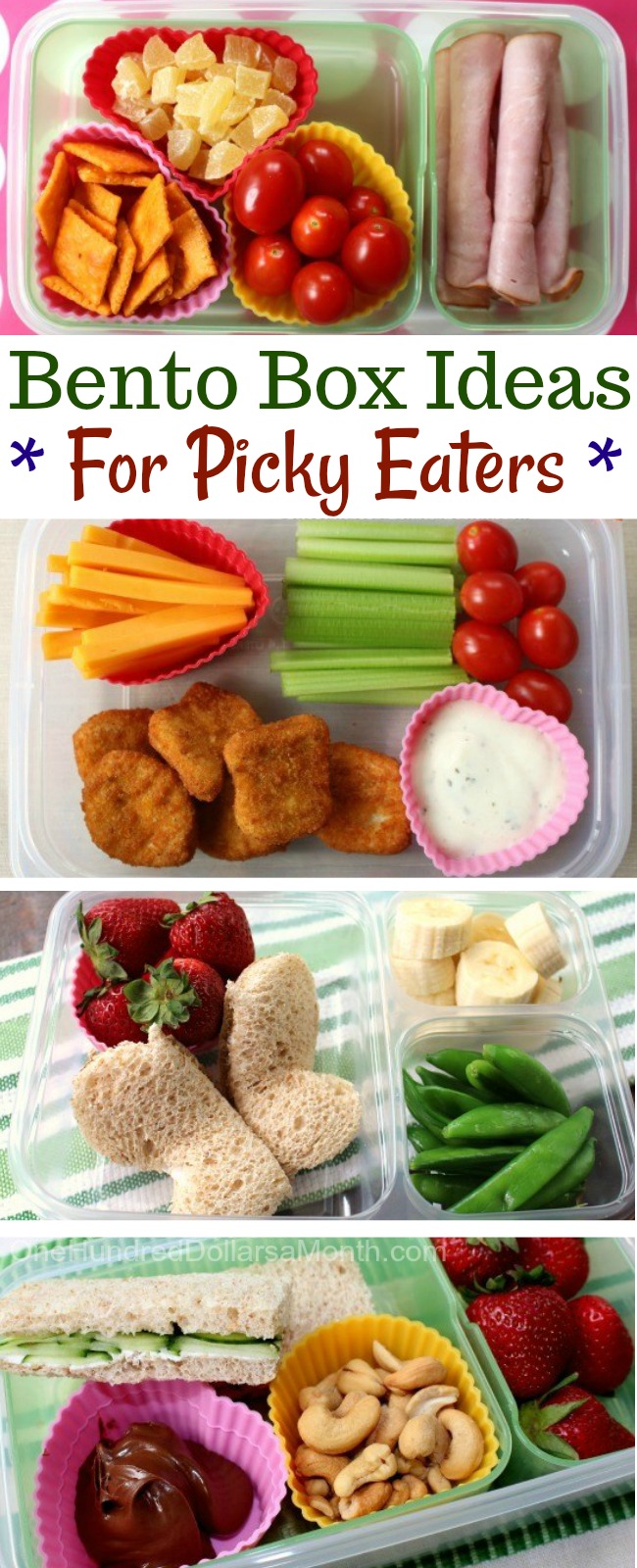 Back to School Bento Boxes Ideas