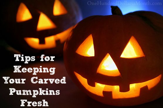 Tips for Keeping Your Carved Pumpkins Fresh