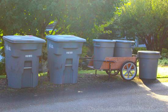 Is it Just Me, or are 3 Garbage Cans a Week a Little Excessive?