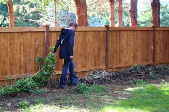 Mavis Butterfield | Backyard Garden Plot Pictures 10/25/15