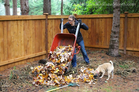 Mavis Butterfield | Backyard Garden Plot Pictures 11/8/15