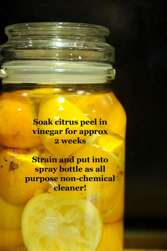 Tips and Tricks on Saving Money – Lisa From Tasmania’s Personal Saving Story