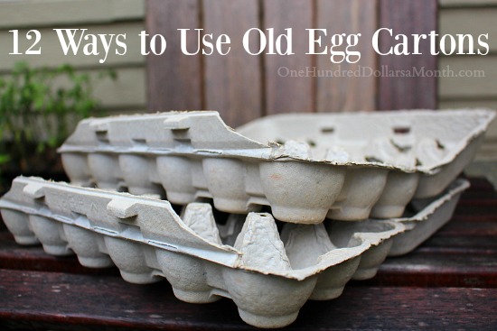 12 Ways to Use Old Egg Cartons