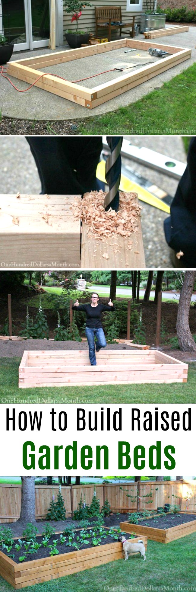 How to Build Raised Garden Beds for Growing Vegetables