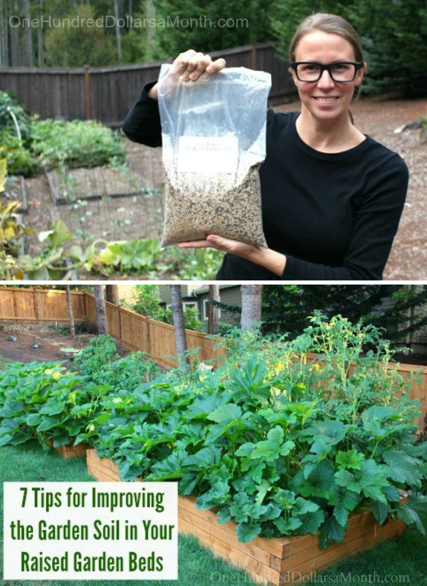 7 Tips for Improving the Garden Soil in Your Raised Garden Beds