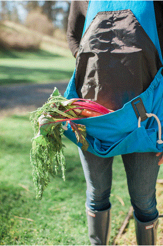 Giveaway—Enter to Win a Roo Garden Apron