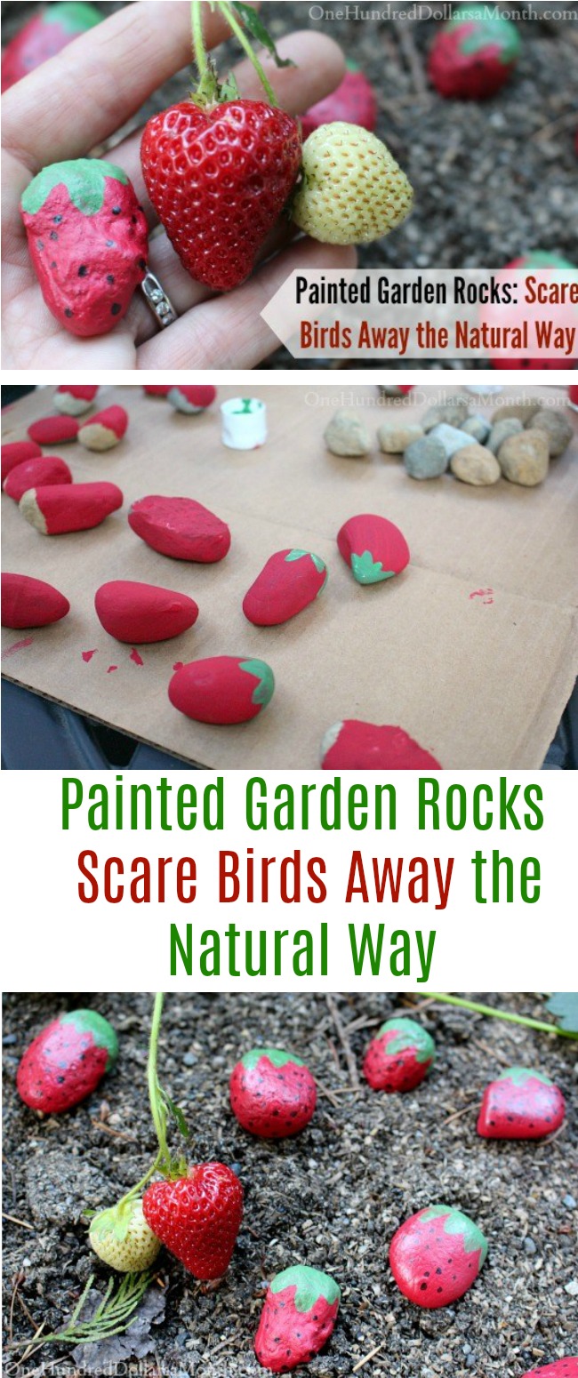Painted Garden Rocks: Scare Birds Away the Natural Way