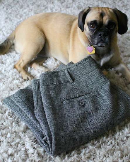 Wool Clothing, Good Ol’ Freda, Heirloom Tomatoes and Lucy Puggle