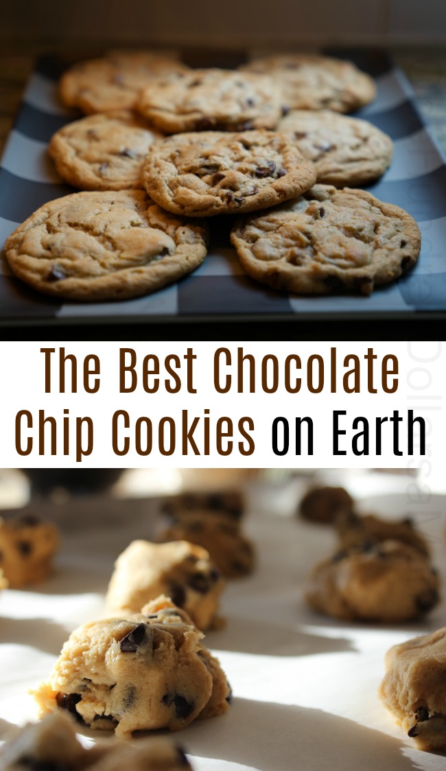 The Best Chocolate Chip Recipe on the Planet