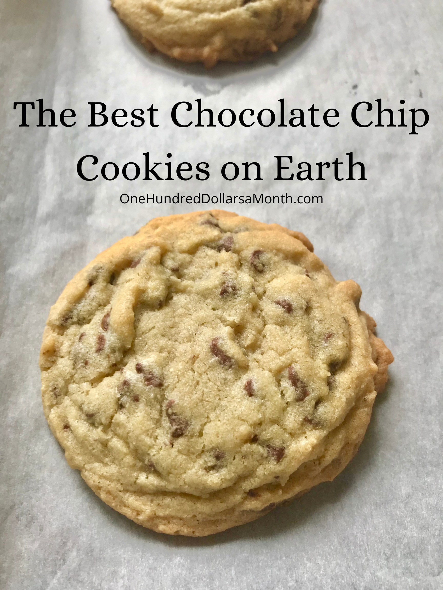 The Best Chocolate Chip Cookies on Earth