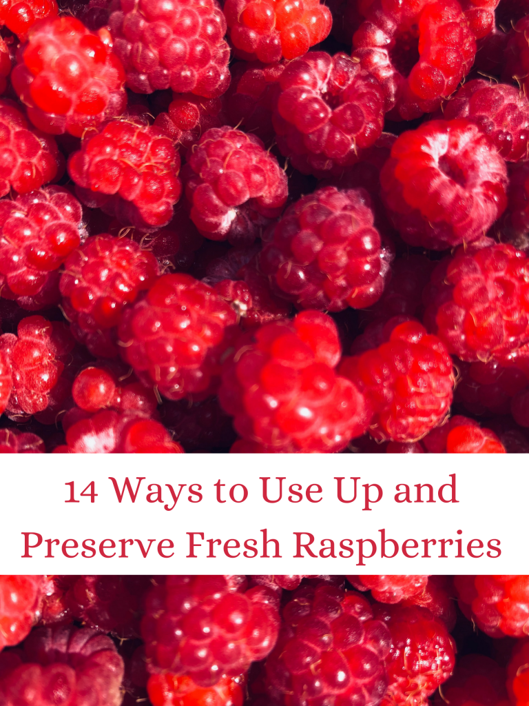 14 Ways to Use Up and Preserve Fresh Raspberries One Hundred Dollars