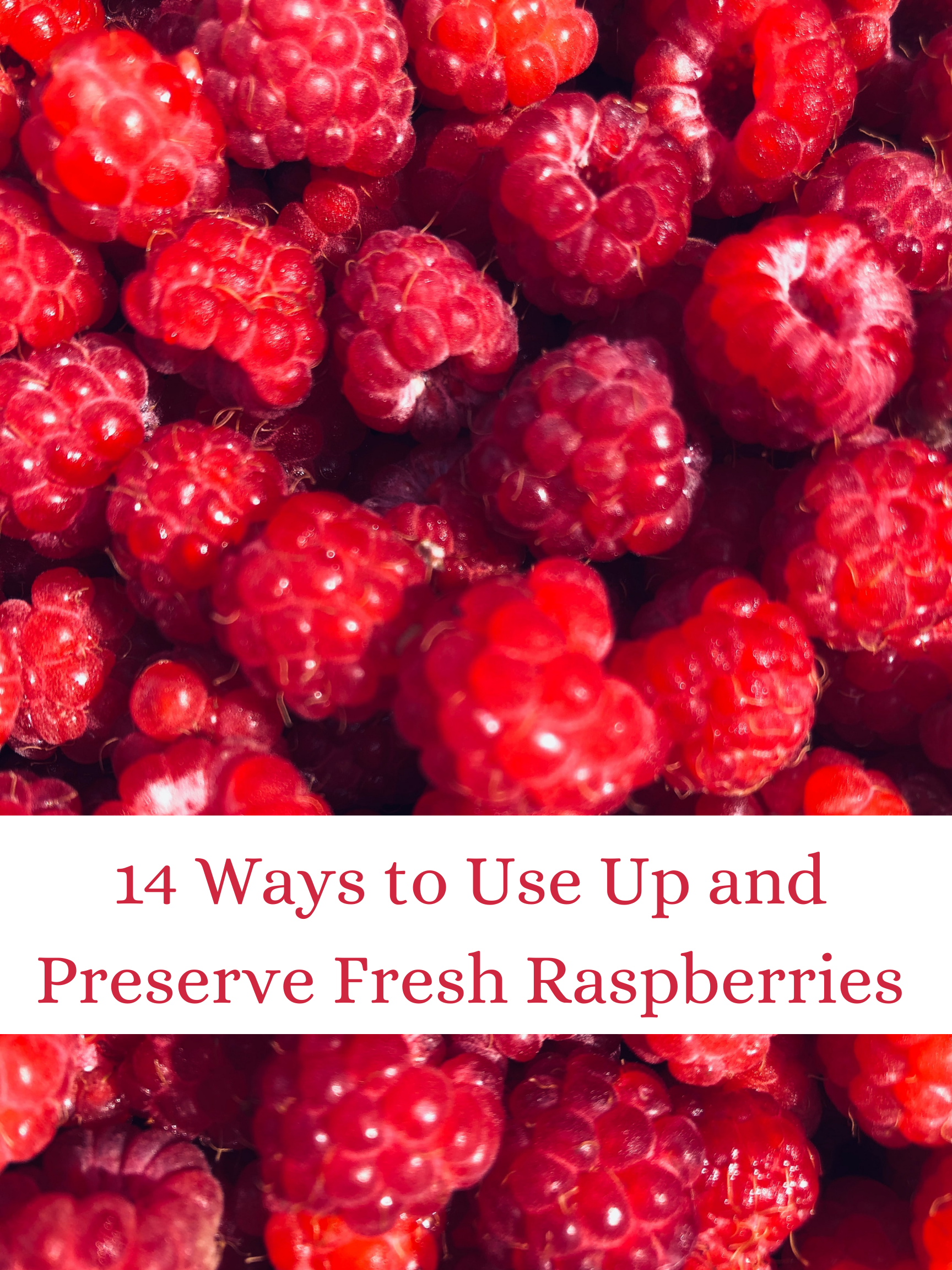 14 Ways to Use Up and Preserve Fresh Raspberries