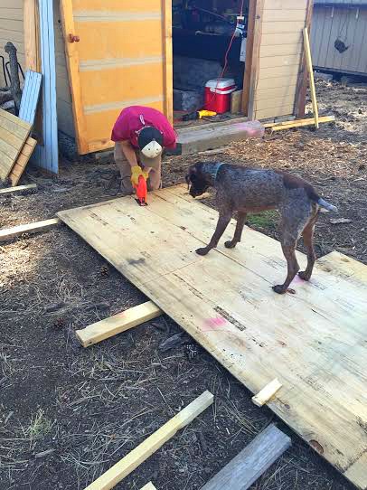 Vanessa Shares How Lots of People’s’ Trash Made a Cute Coop for Her Ducks