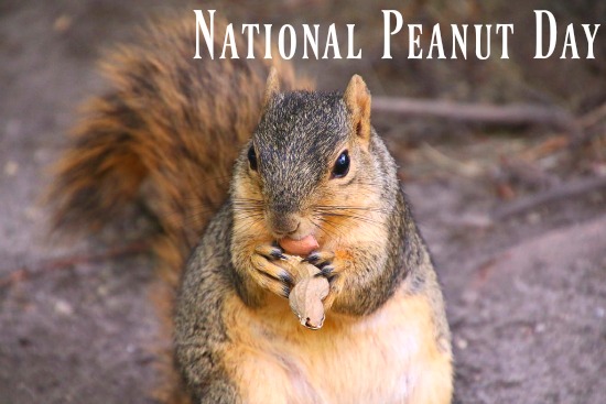 September 13th, 2016 – National Peanut Day