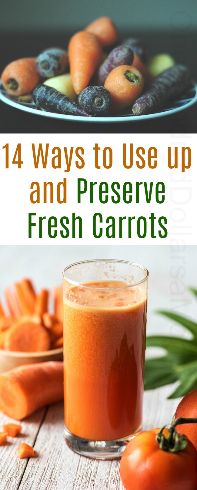 14 Ways to Use up and Preserve Fresh Carrots