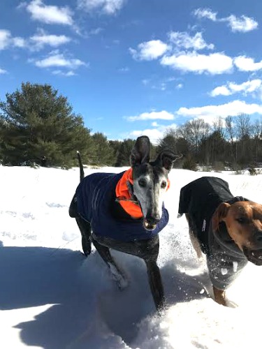 Heather From Massachusetts Shares Her Winter Storm Photos