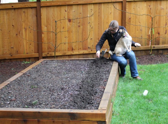 Bits and Bobs for the Middle of March