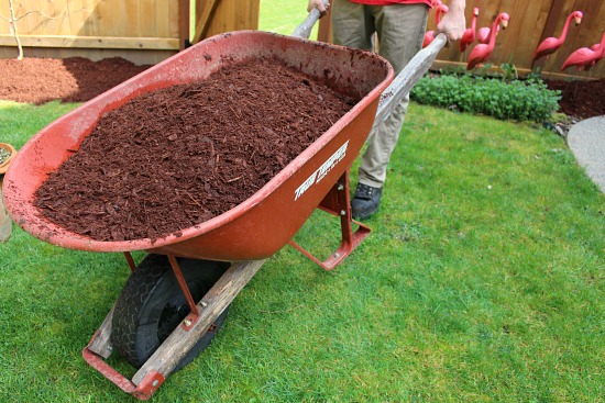 Spreading Joy, One Wheelbarrow Load at a Time