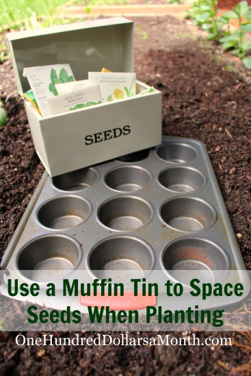 Garden Tip – Use a Muffin Tin to Space Seeds When Planting