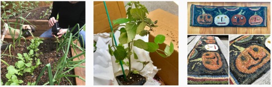 One Hundred Dollars a Month – Mavis’ Weekly Highlights 5/13/17