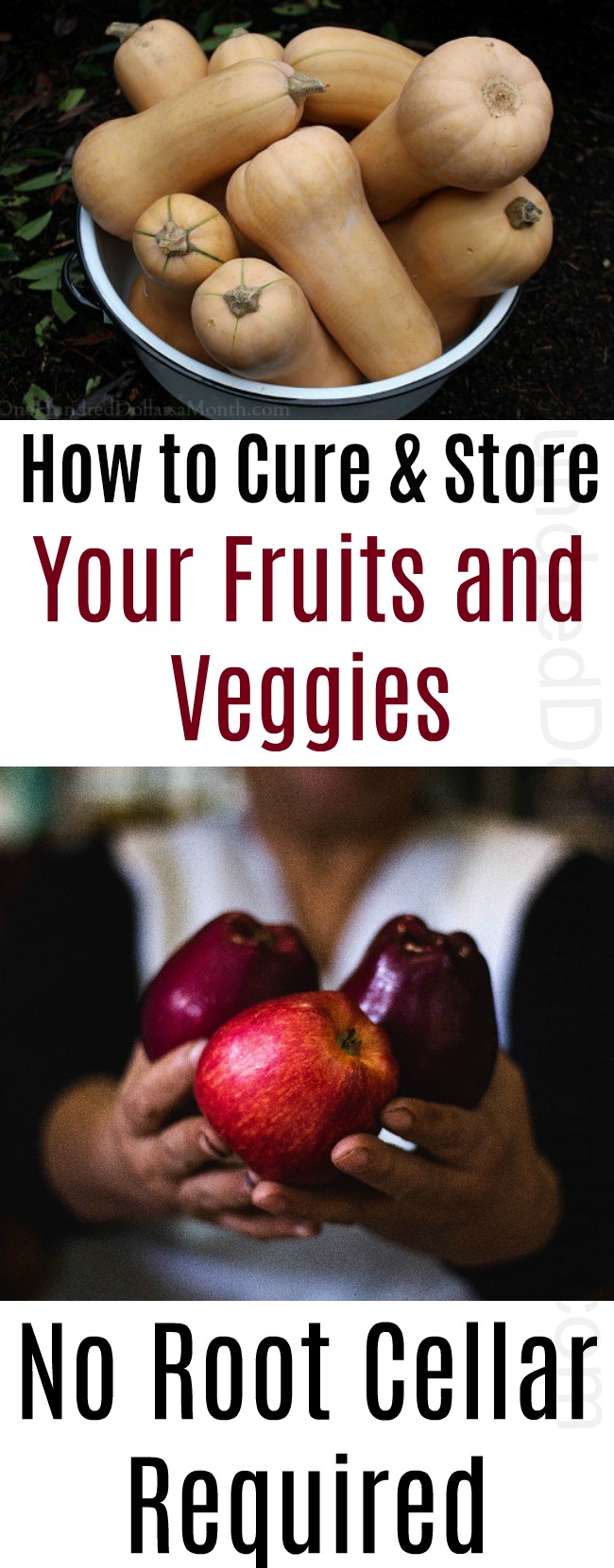 How to Cure and Store Your Fruits and Veggies: No Root Cellar Required
