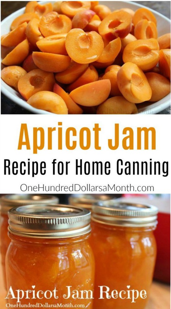 Apricot Jam Recipe