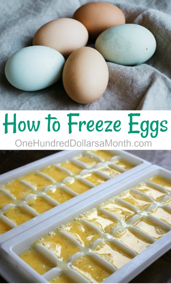 How to Freeze Eggs