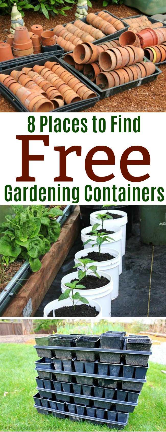 8 Places to Find Free Gardening Containers