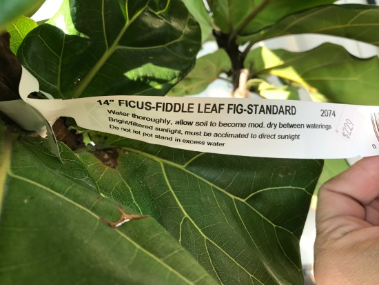 Bit’s and Bob’s for the Middle of August