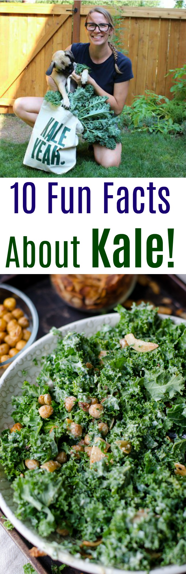 10 Fun Facts About Kale!