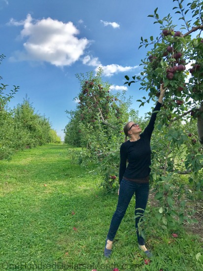 Lull Farm Stand – Hollis, NH