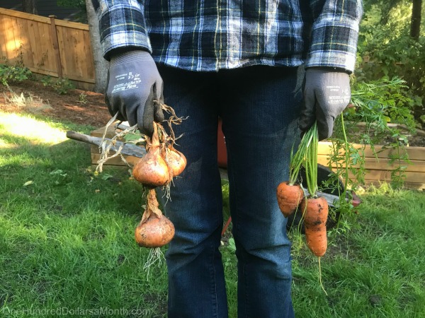 One Hundred Dollars a Month – Mavis’ Weekly Highlights 10/21/17